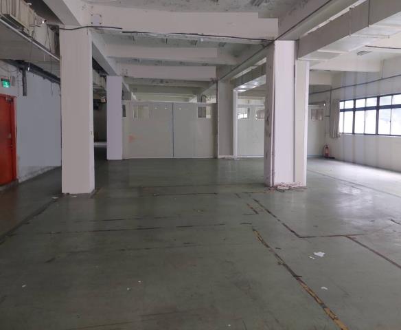 新北五股廠房-5