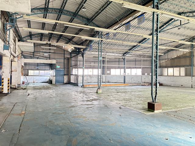 桃園中壢廠房-5