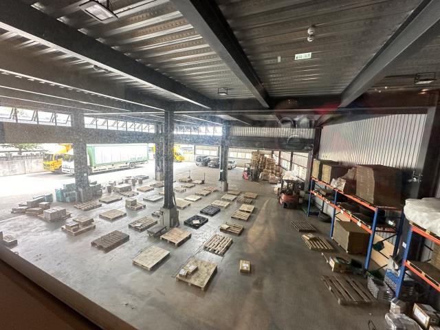 桃園中壢廠房-3