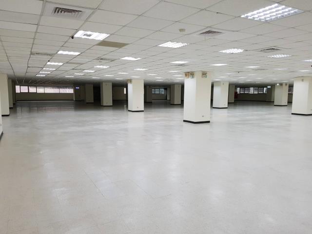 三重大坪數優質廠辦