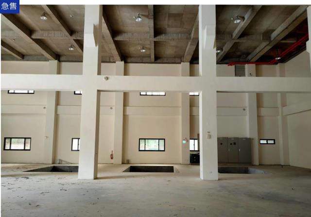 桃園龍潭廠房-1