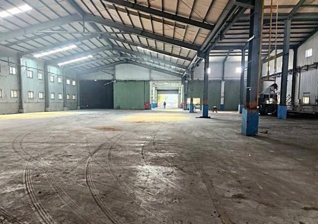 桃園大園廠房-2