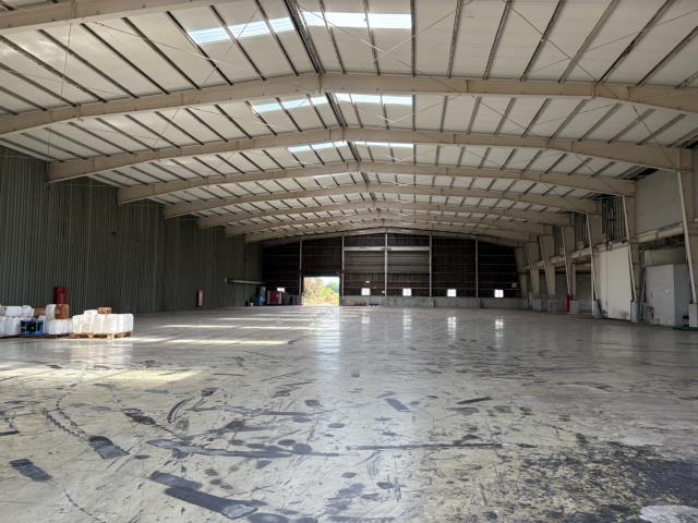 桃園新屋廠房-0