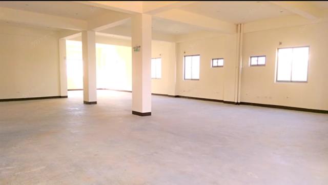 新北土城廠房-0