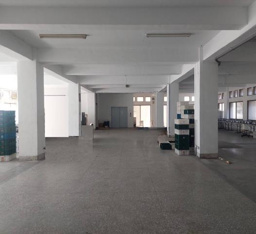 五股廠房-1