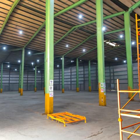 桃園大園廠房-1