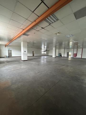 桃園龍潭廠房-3