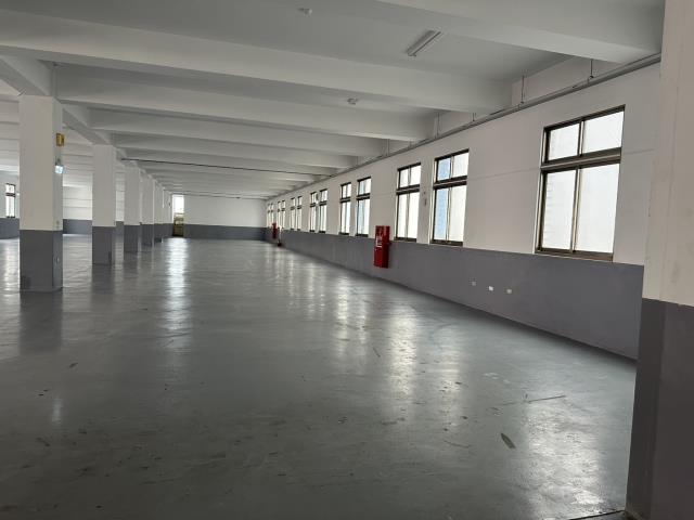 桃園龜山廠房-3