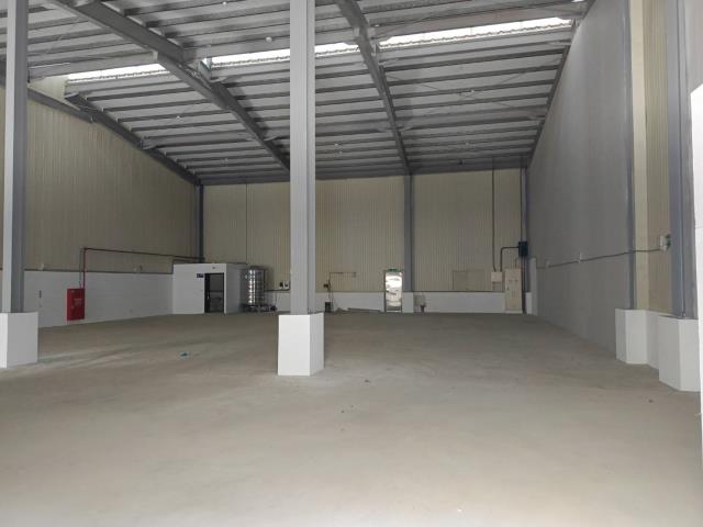 新北樹林廠房-5