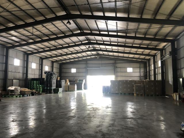 新竹湖口廠房-1