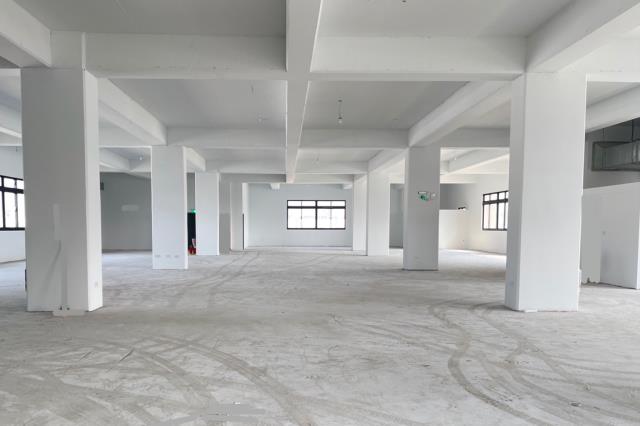 樹林合法挑高鋼構廠房