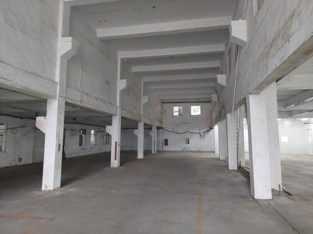 新北新莊廠房-2