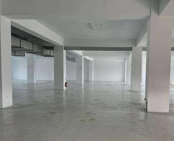 新北市廠房工業地買賣建地徵收農地廠房出租