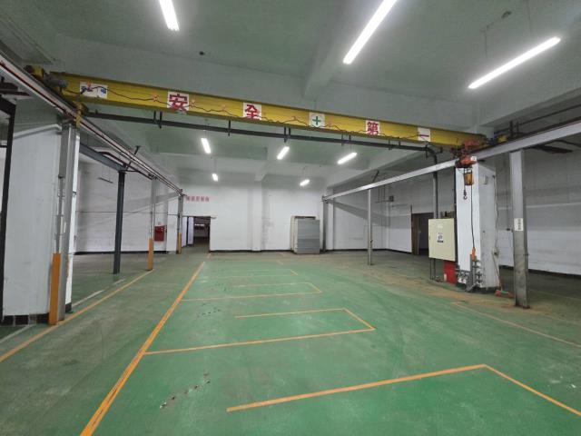 桃園中壢廠房-1