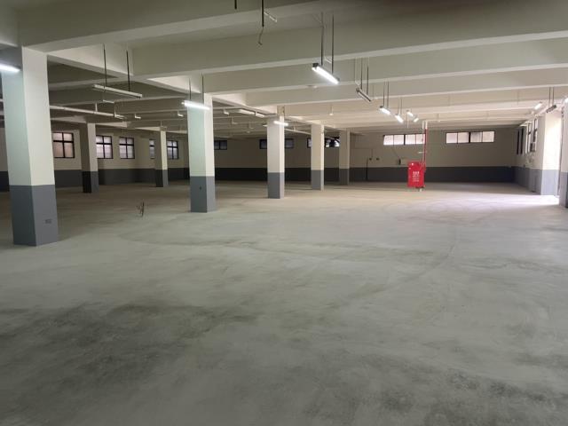 桃園八德廠房-0