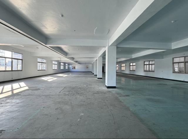 新北五股廠房-1