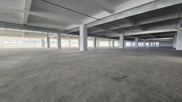 桃園廠房-1