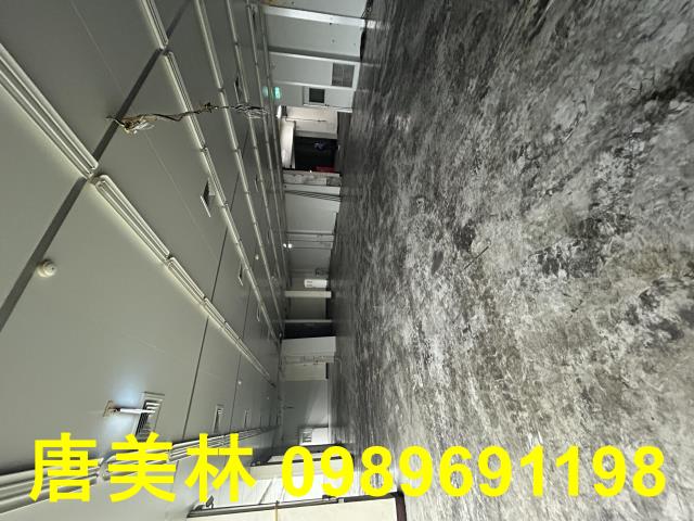 桃園龍潭廠房-6