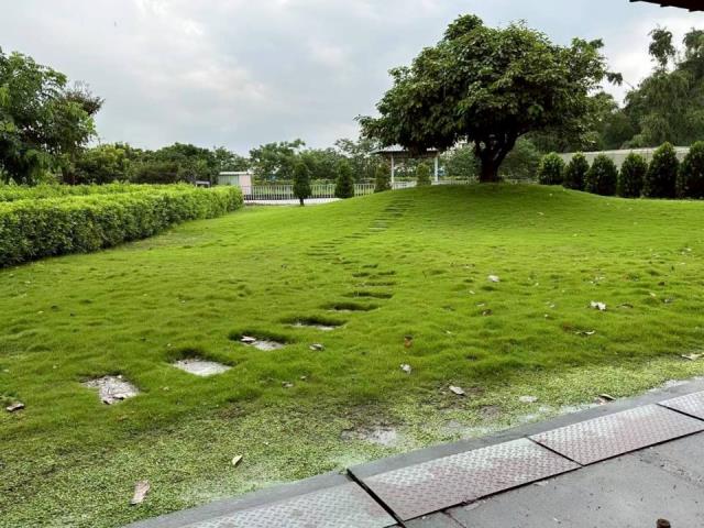 萬丹廠房-1