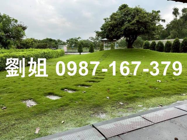 屏東廠房-0