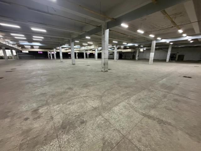 桃園中壢廠房-1